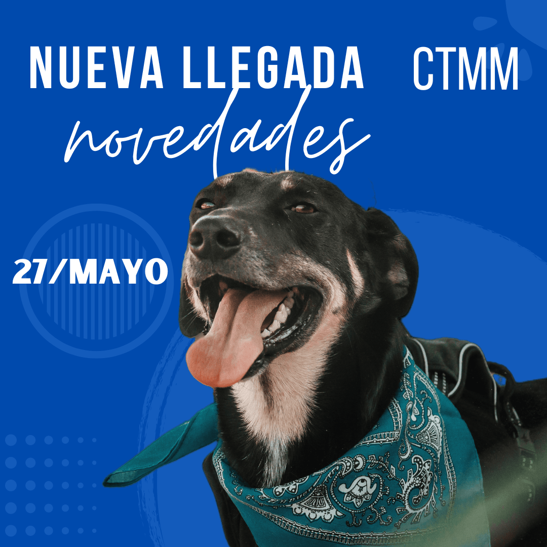 27 De Mayo CTMM
