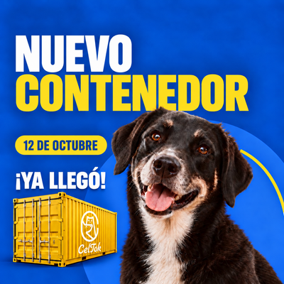 Nuevo contenedor · 12 de octubre · logo blanco Celtok únicamente en el contenedor amarillo