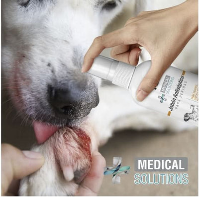 FL3934 1 Pieza De Jabon Antiseptico En Spray Para Mascotas