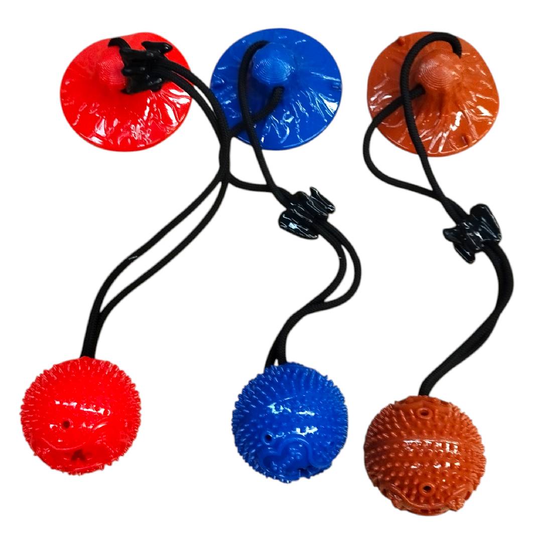 CT9771 1 Pieza De Juguete Para Mascota