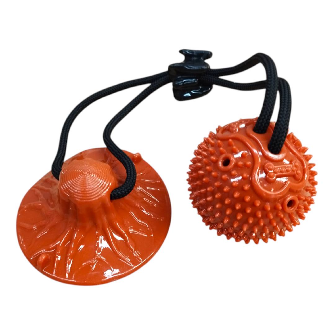 CT9771 1 Pieza De Juguete Para Mascota