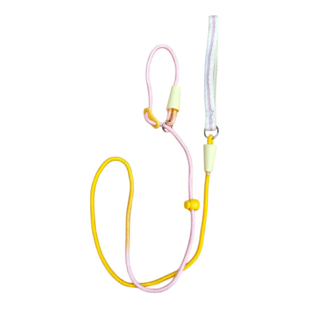 CT8021 1 Pieza De Correa Para Mascota