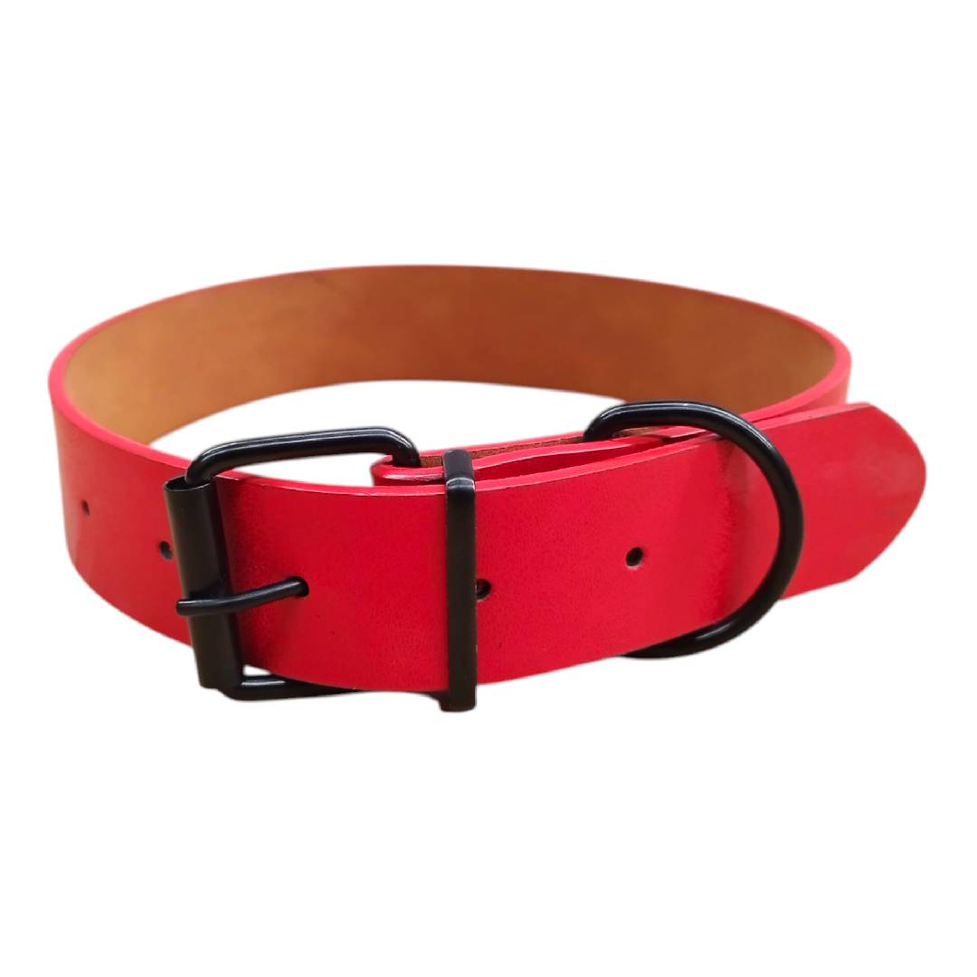 CT3521 - C13521 1 Pieza De Collar Para Mascota