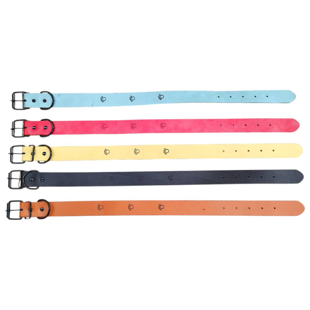 CT3521 - C13521 1 Pieza De Collar Para Mascota