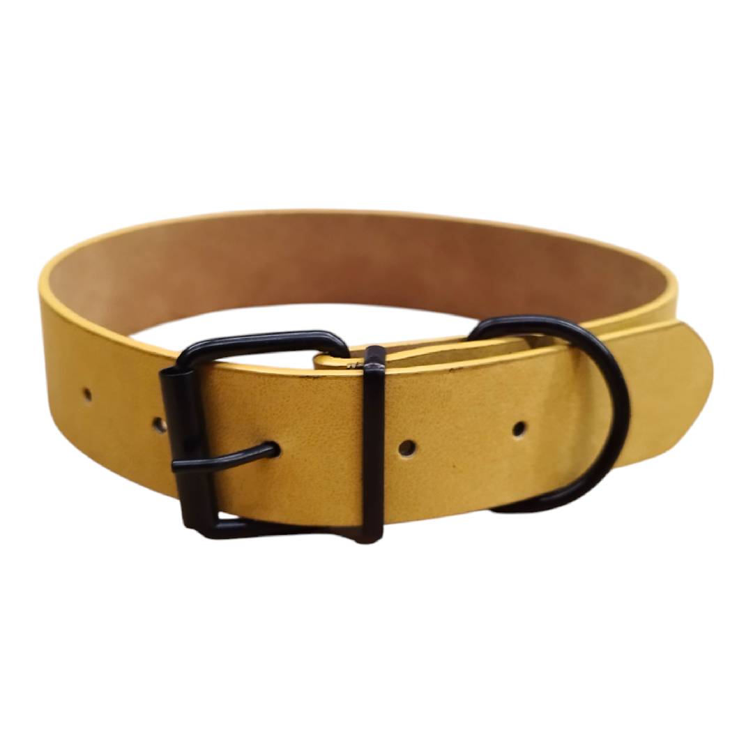 CT3521 - C13521 1 Pieza De Collar Para Mascota