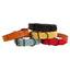 CT3521 - C13521 1 Pieza De Collar Para Mascota