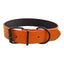 CT3521 - C13521 1 Pieza De Collar Para Mascota