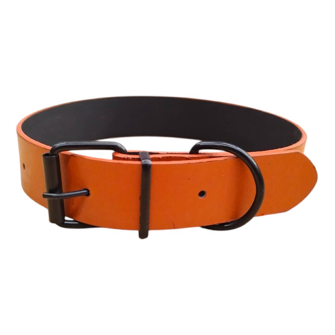 CT3521 - C13521 1 Pieza De Collar Para Mascota