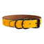 CT5681 1 Pieza De Collar Diseño Huella Dorada Para Mascota