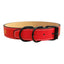 CT5681 1 Pieza De Collar Diseño Huella Dorada Para Mascota