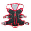 CT3522 1 Pieza De Pechera Con Correa Para Mascota