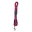 CT3106 1 Pieza De Correa Para Mascota
