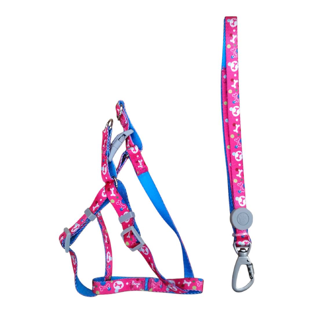 CT3594 1 Pieza Correa & 1 Pieza Pechera para mascota