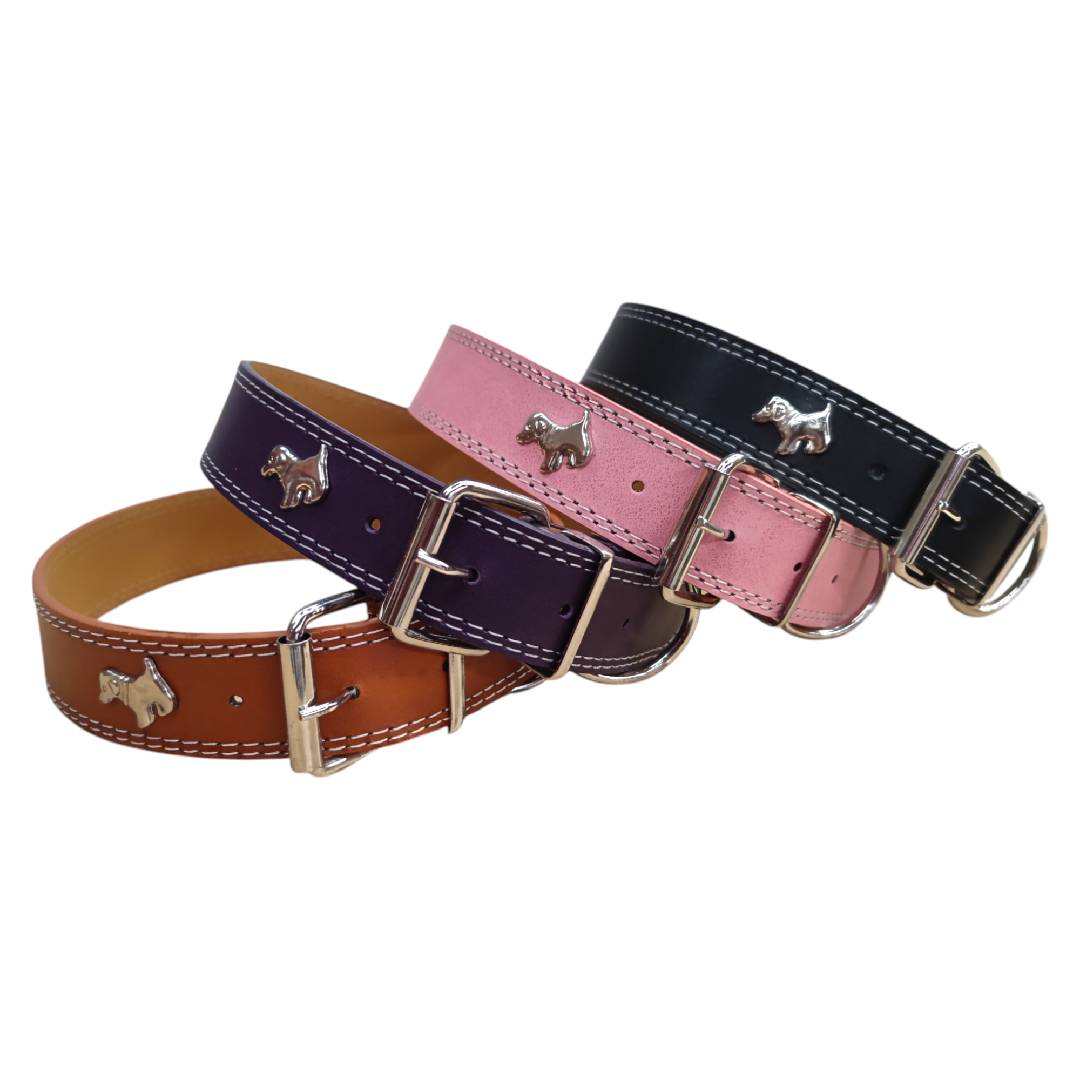 CT5595 1 Pieza De Collar Para Mascota