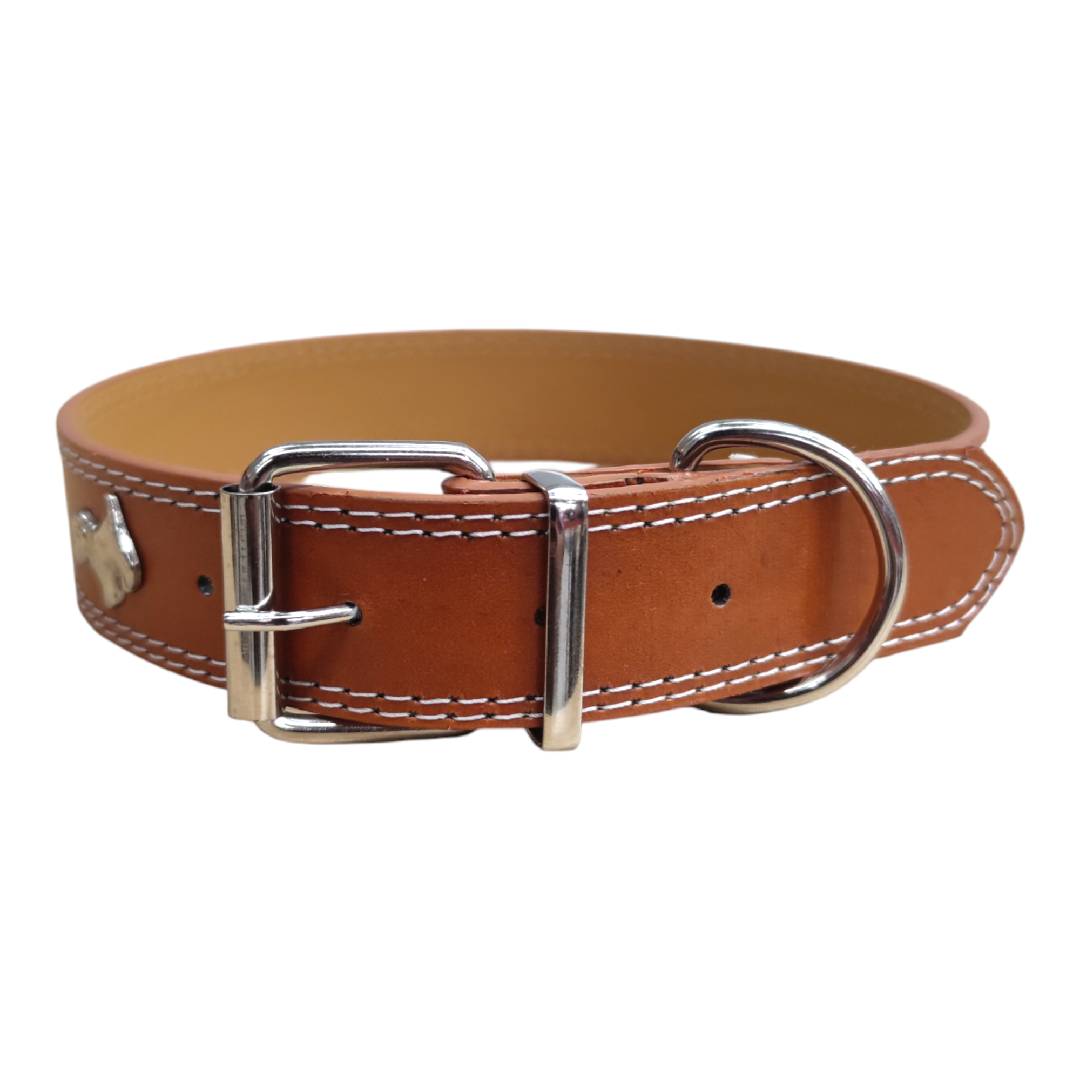 CT5595 1 Pieza De Collar Para Mascota