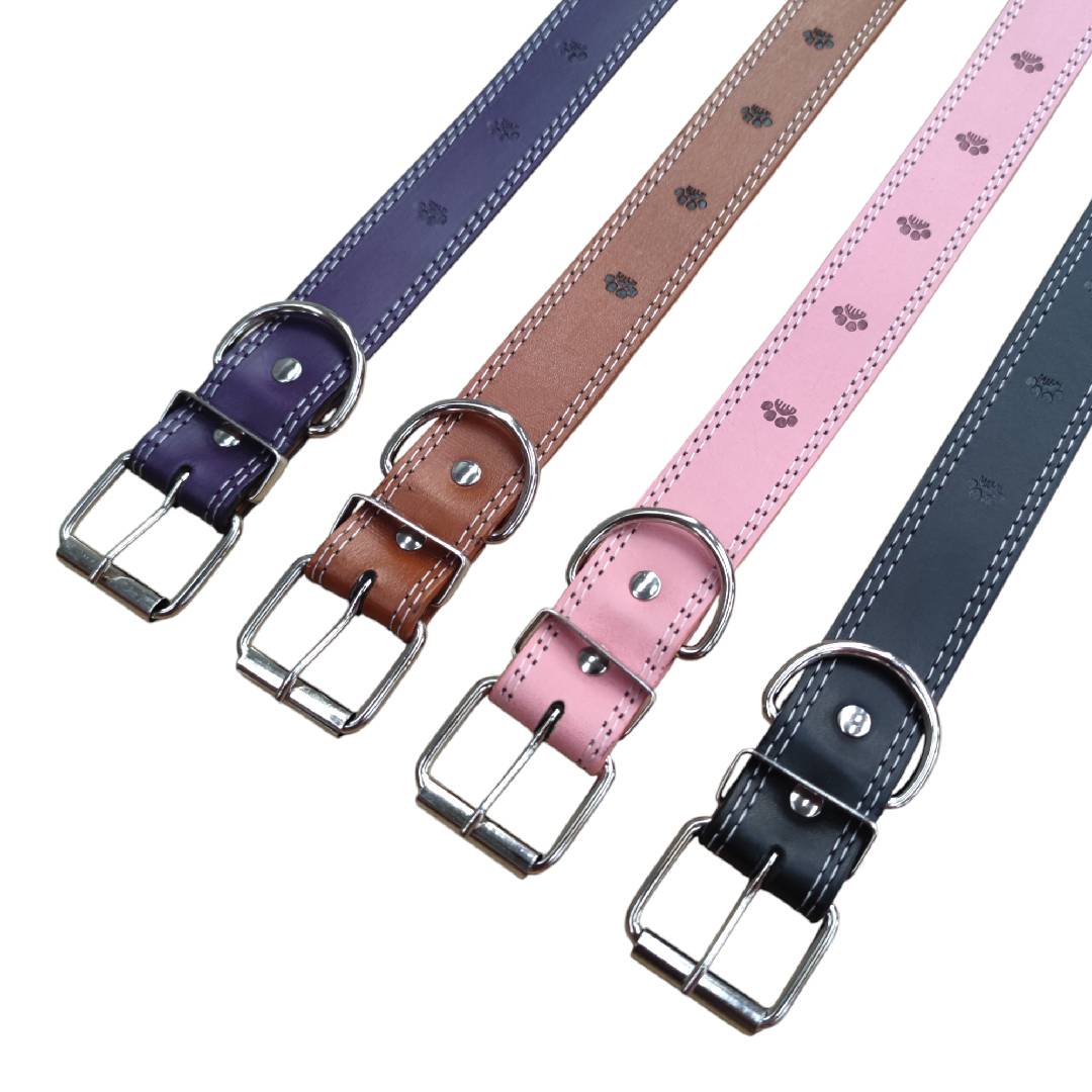 CT5595 1 Pieza De Collar Para Mascota