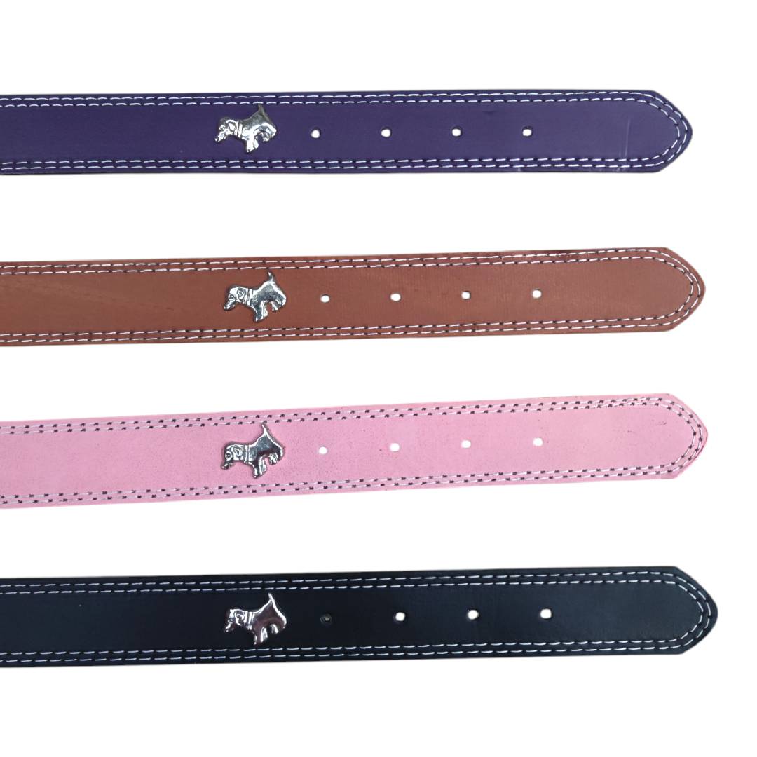 CT5595 1 Pieza De Collar Para Mascota