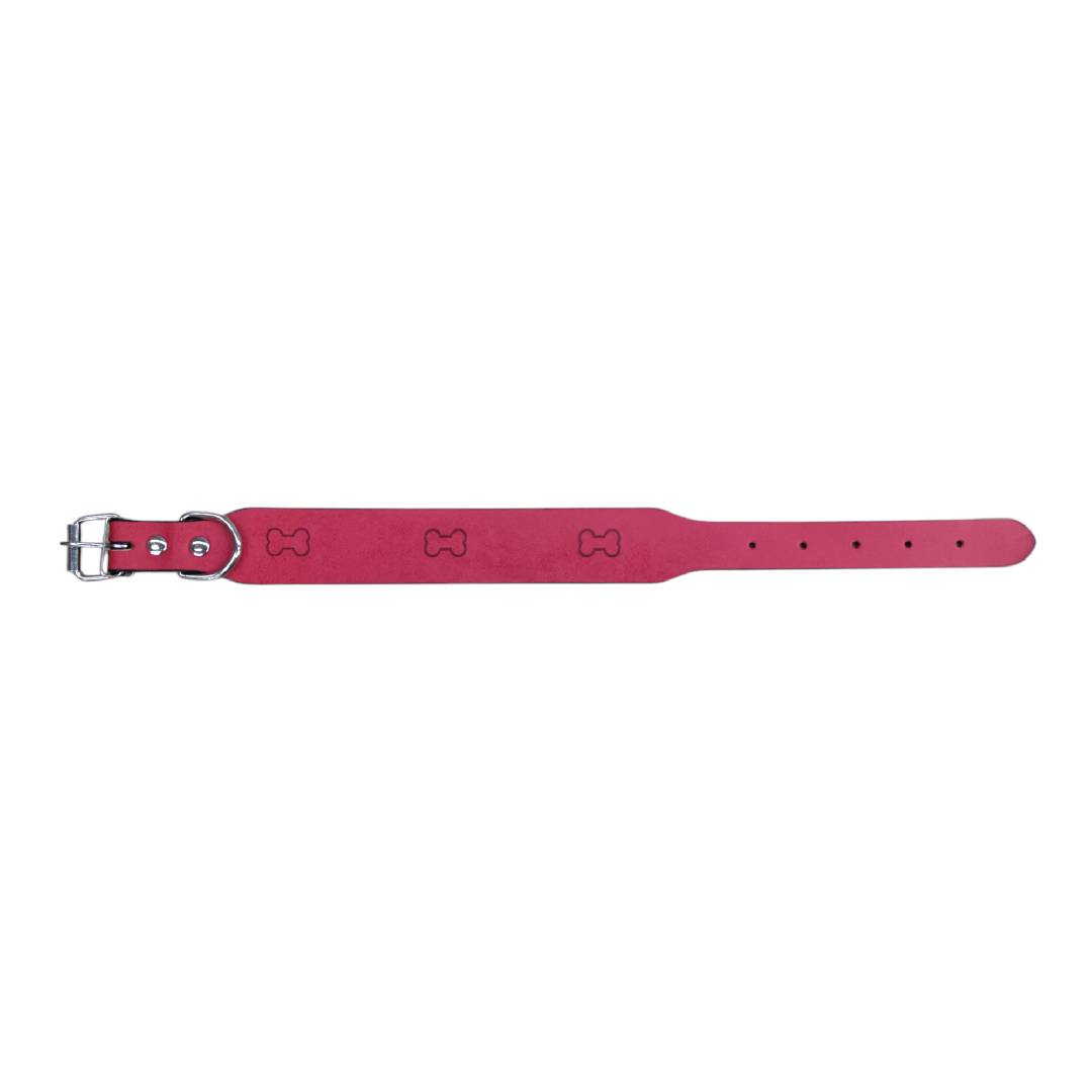 CT5380 1 Pieza De Collar Para Mascota