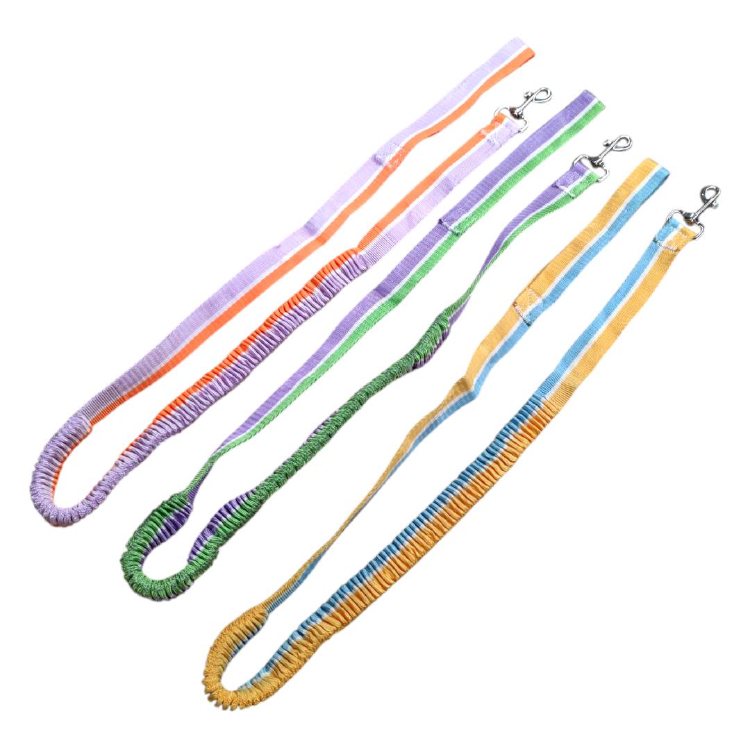 CT2504 1 Pieza De Correa Para Perros Con Esponja