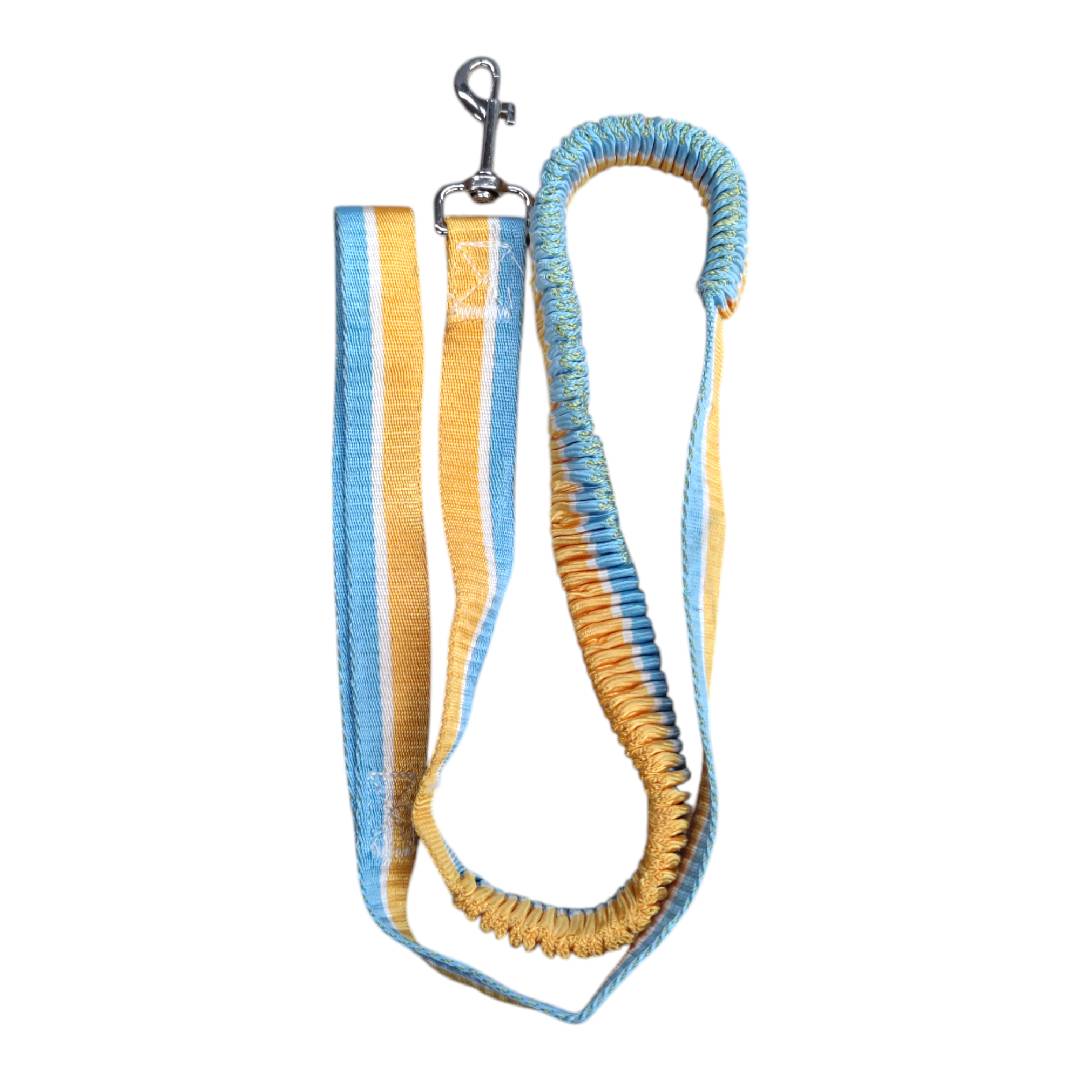 CT2504 1 Pieza De Correa Para Perros Con Esponja