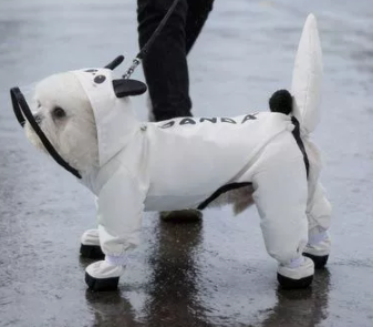 CT2307 1 Pieza De Impermeable Para Mascota