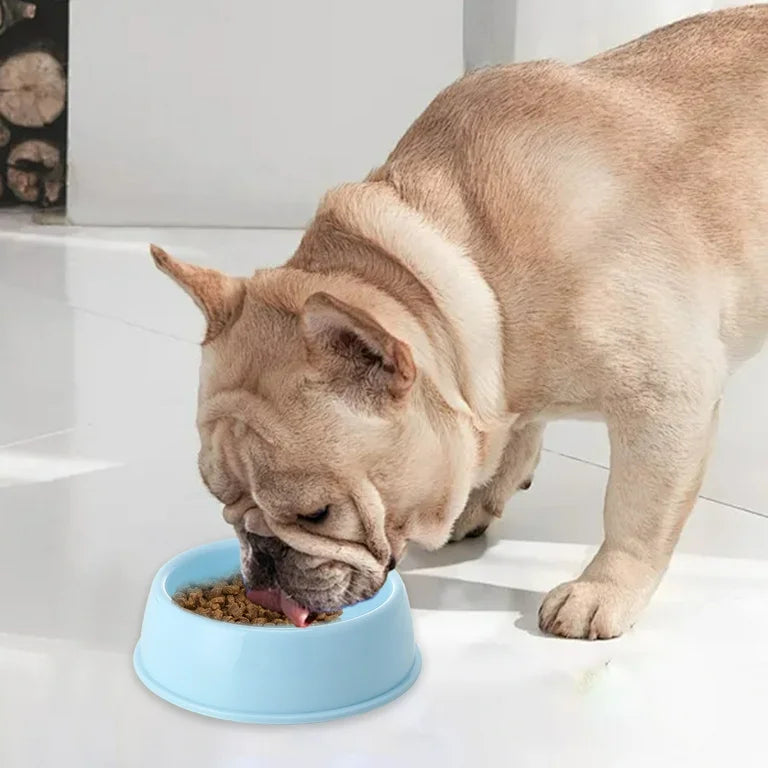 CT2259 1 Pieza De Tazón Para Mascota