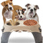 CT2914 1 Pieza De Tazón Elavado Para Mascota