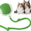 CT4047 1 Pieza Juguete Inteligente Para Mascotas