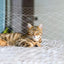 CT8996 1 Pieza de Red De Seguridad Para Gato
