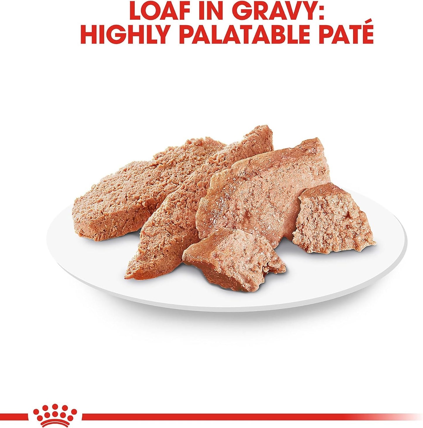 CT1165 1 Pieza De Alimento Persa Para Gato
