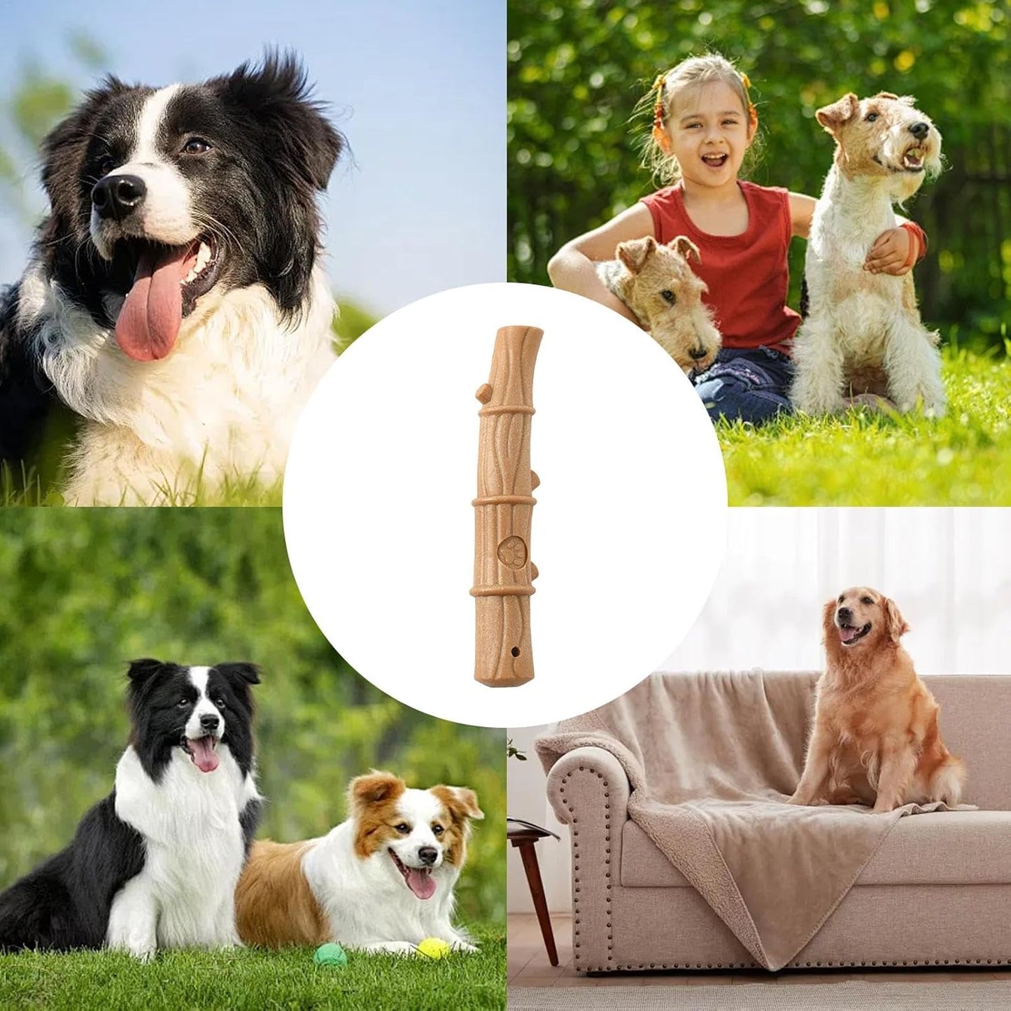 CT9412 1 Pieza De Juguete Para Mascota