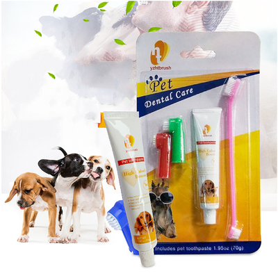 CT0549 1 Pieza Kit Cepillo De Dientes Con Pasta