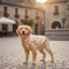 CT8675 1 Pieza De Ropa De Invierno Para Mascota