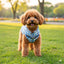 CT8640 1 Pieza De Ropa De Invierno Para Mascota