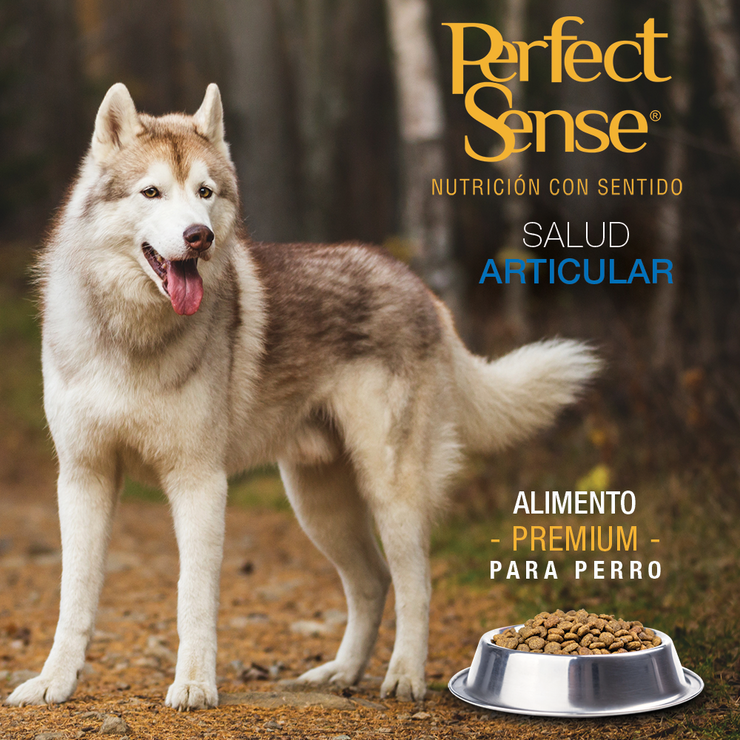 PS1834 1 Pieza De 8 Kg De Alimento Premium Adulto MLB