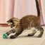 CT4066 1 Set 3 Piezas De Pelotas de Tennis Con Campanas Para Mascotas