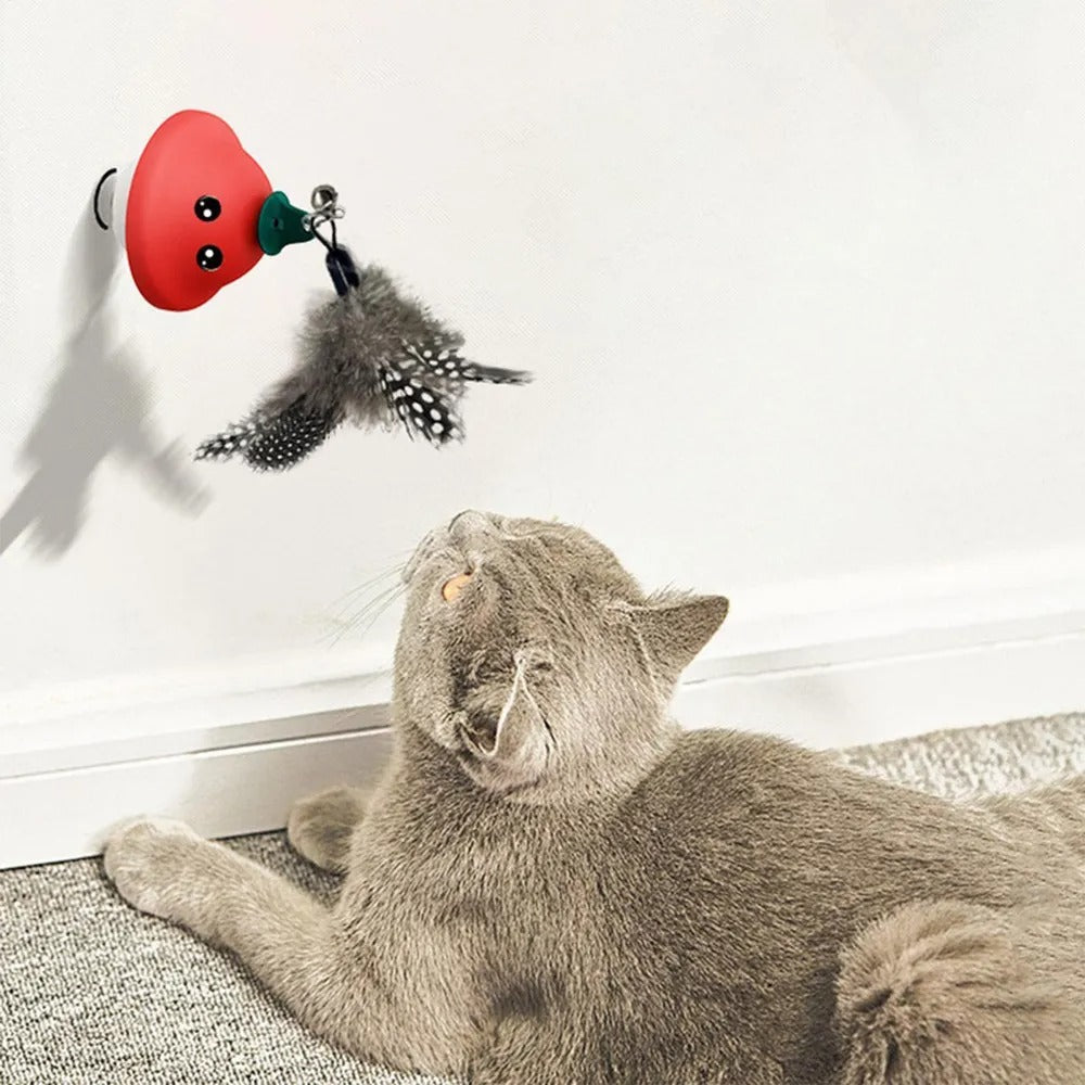 CT0491 1 Pieza De Juguete Para Mascota