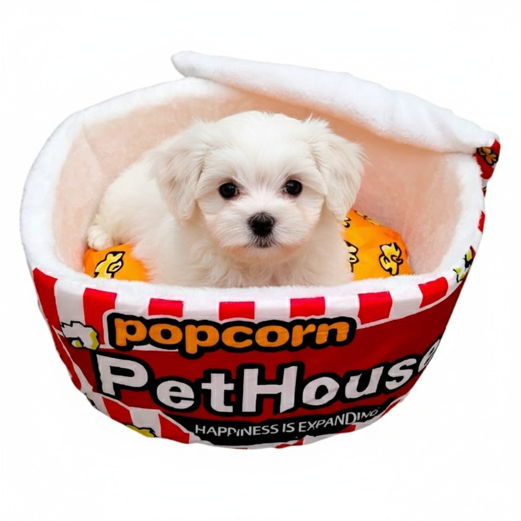 CT3149 1 Pieza De Cama Con Diseño Para Mascota