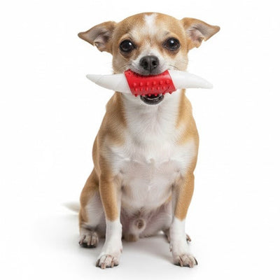 CT3859 1 Pieza De Juguete Para Mascota