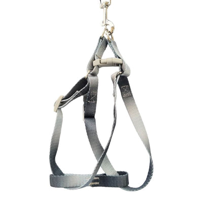 CT9085 1 Pieza De Pechera Con Correa Para Mascota