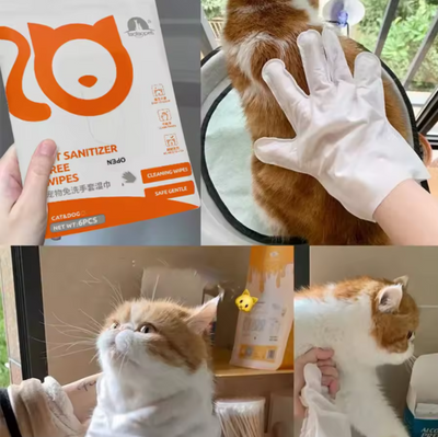 CT0252 1 Paquetes De Toallita De Guante Limpieza Para Mascota