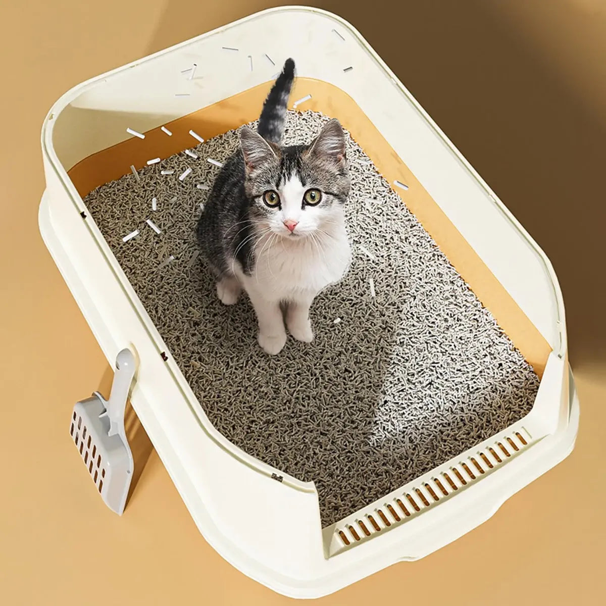 CT6875 1 Pieza De Arenero Para Mascota
