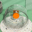 CT9864 1 Pieza De Juguete Para Hamster