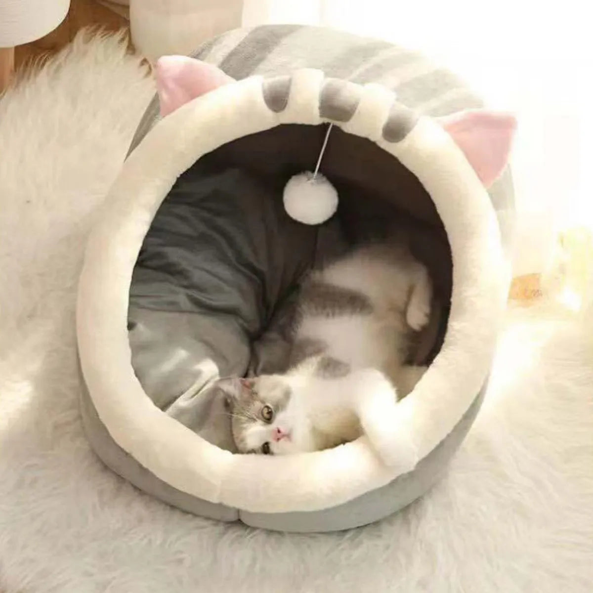 CT3118 1 Pieza De Cama Con Diseño Para Mascota