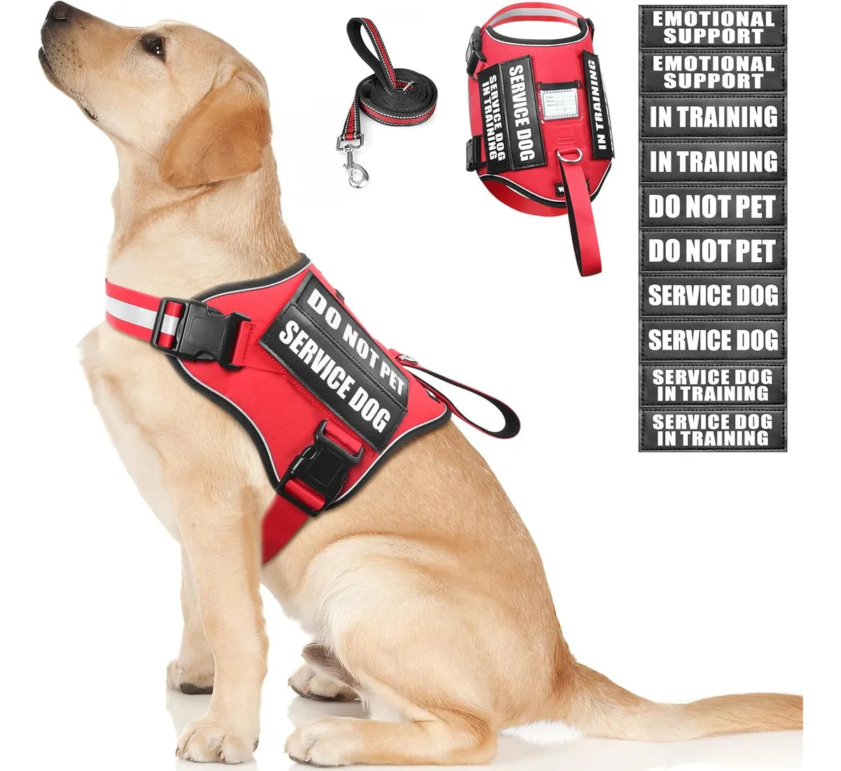 CT0018 1 Pieza De Pechera Para Mascota & 1 Pieza De Correa