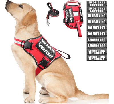 CT0018 1 Pieza De Pechera Para Mascota & 1 Pieza De Correa