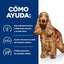 CT0180 1 Pieza De Alimento Sabor Original Para Perro