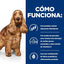 CT0180 1 Pieza De Alimento Sabor Original Para Perro