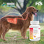 FL3643 1 Pieza De Tabletas Antidiarreico Para Mascotas