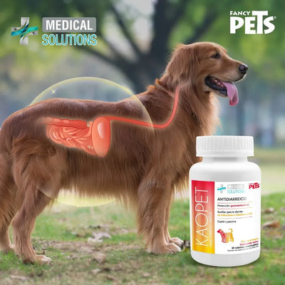 FL3643 1 Pieza De Tabletas Antidiarreico Para Mascotas